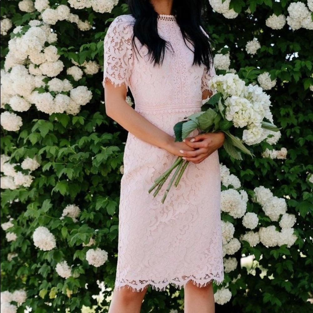 Rachel Parcell Pink Lace Dress